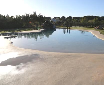 Foto de la piscina tipo laguna del alojamiento rodeada de naturaleza.