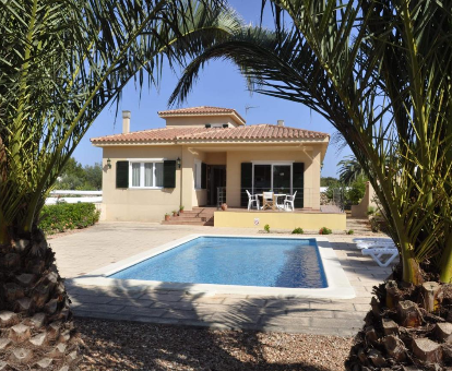 Piscina exterior rodeada de hermosas palmeras en la casa Villa Francisca Sa Caleta