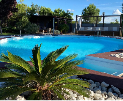 Fabulosa piscina exterior ovalada rodeada de diversas plantas de la Villa Sa Calma en Zaragoza