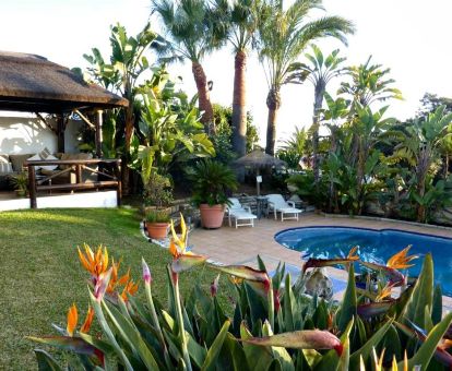 Hermoso espacio exterior rodeado de bellos jardines con piscina exterior de este hotel solo para adultos.