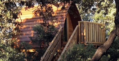 Foto de una cabaña de madera encima de un arbol con una escalera también de madera para poder subir