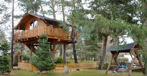 Foto de la cabaña en lo alto del arbol con terraza y con una escalera de madera para subir.